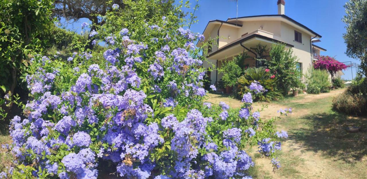 شقة La Casa Di Stefania Pollutri المظهر الخارجي الصورة